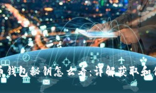 : 比特币钱包秘钥怎么看:详解获取和保护方法