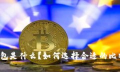 比特币钱包是什么？如何