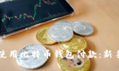 如何使用比特币钱包付款