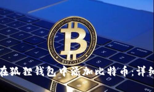 如何在狐狸钱包中添加比特币:详细指南