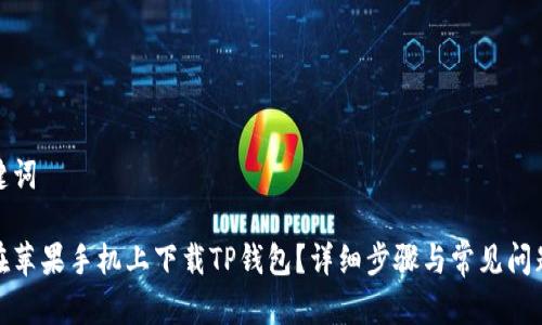 和关键词
如何在苹果手机上下载TP钱包?详细步骤与常见问题解答
