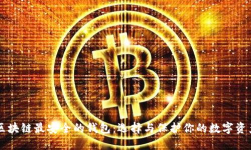 区块链最安全的钱包:选择与保护你的数字资产
