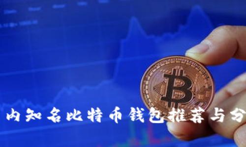 国内知名比特币钱包推荐与分析