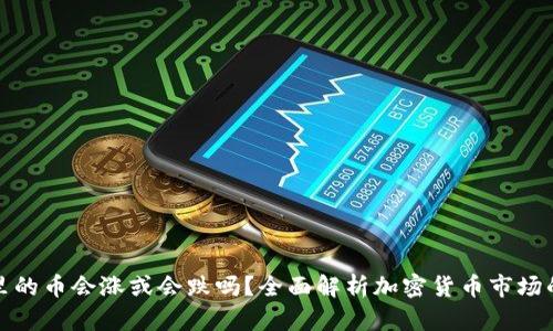 TP钱包里的币会涨或会跌吗?全面解析加密货币市场的波动性