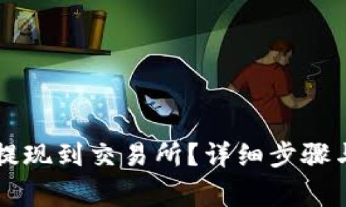 怎么将TP提现到交易所?详细步骤与注意事项