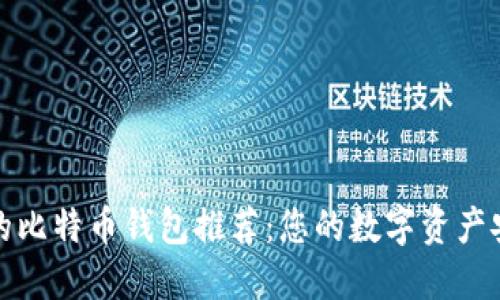 最靠谱的比特币钱包推荐:您的数字资产安全卫士