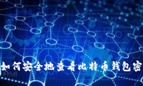 : 如何安全地查看比特币钱包密码