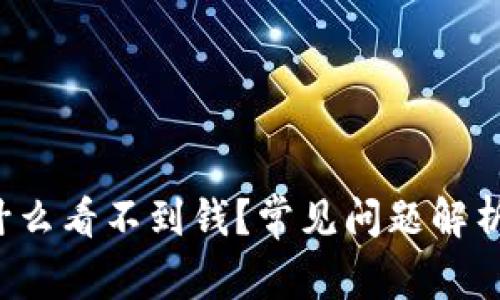 TP钱包为什么看不到钱?常见问题解析及解决方案