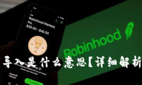 以太坊钱包导入是什么意思?详细解析与使用技巧
