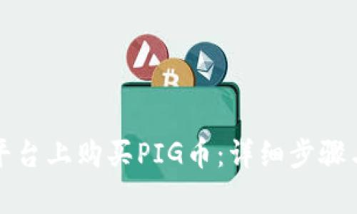 如何在TP平台上购买PIG币:详细步骤与注意事项