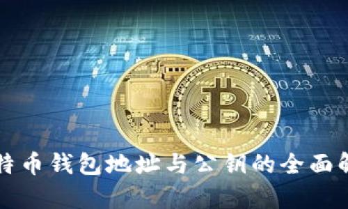 比特币钱包地址与公钥的全面解析