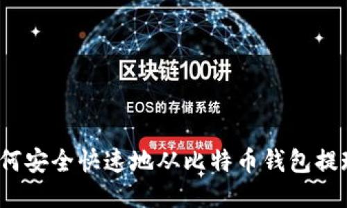 如何安全快速地从比特币钱包提现?
