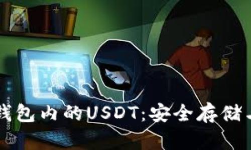 以太坊冷钱包内的USDT:安全存储与使用指南