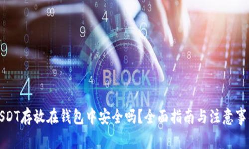 USDT存放在钱包中安全吗?全面指南与注意事项