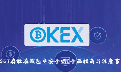 USDT存放在钱包中安全吗?全面指南与注意事项