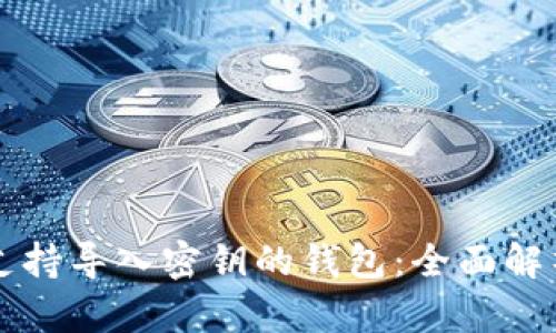 比特币支持导入密钥的钱包:全面解析与推荐