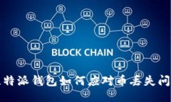 比特派钱包如何应对币丢