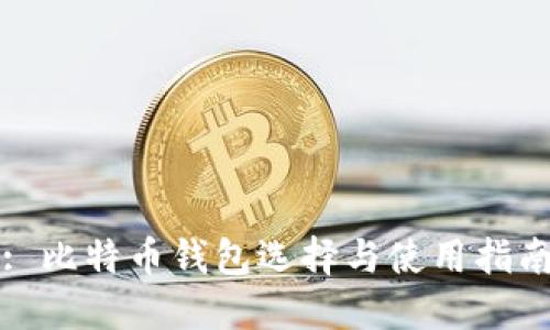 : 比特币钱包选择与使用指南
