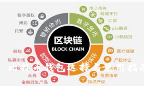 : 比特币钱包选择与使用指南
