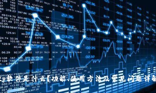 tp软件是什么?功能、使用方法及常见问题详解