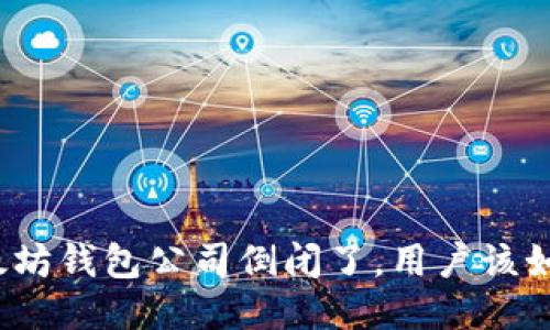 如果以太坊钱包公司倒闭了,用户该如何应对?