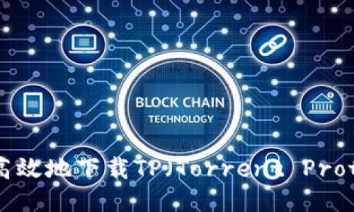 如何安全高效地下载TP(Torrent Protocol)文件