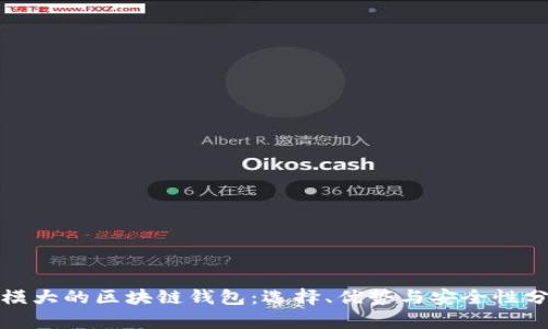 规模大的区块链钱包:选择、优势与安全性分析