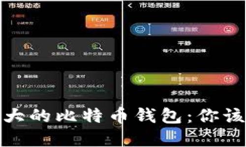探索世界最大的比特币钱包:你该知道的一切