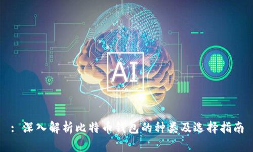 : 深入解析比特币钱包的种类及选择指南
