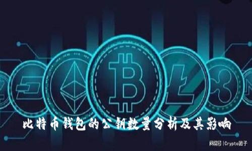 比特币钱包的公钥数量分析及其影响