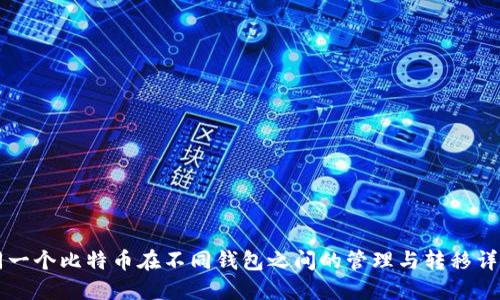 同一个比特币在不同钱包之间的管理与转移详解