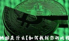 比特币钱包地址是什么？