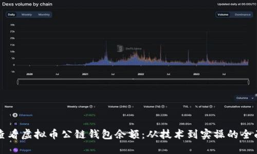 如何查看虚拟币公链钱包余额:从技术到实操的全面指南