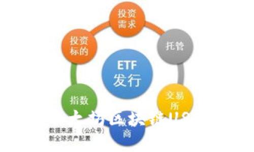 基于Go语言开发以太坊区块链USDT钱包的完整指南