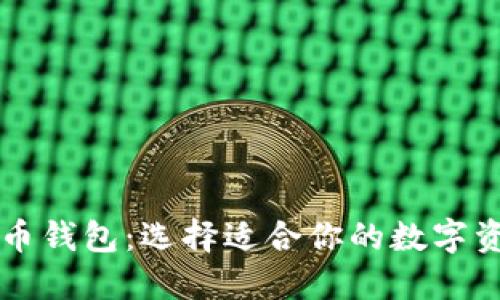 国外的虚拟币钱包:选择适合你的数字资产管理工具