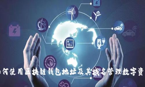 如何使用区块链钱包地址及其域名管理数字资产