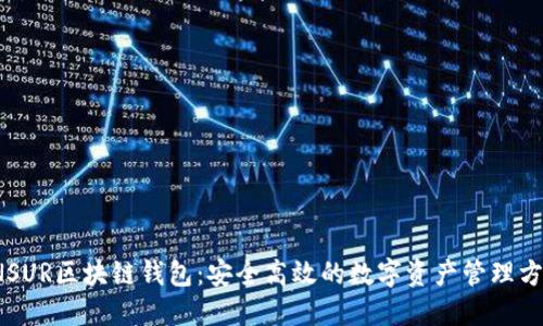INSUR区块链钱包:安全高效的数字资产管理方案