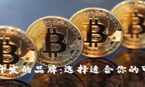 区块链钱包开发的品牌:选择适合你的可靠解决方案