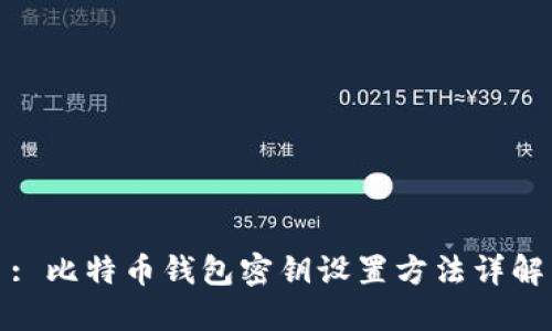 : 比特币钱包密钥设置方法详解