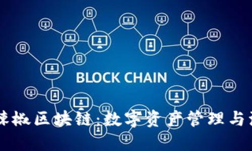 云钱包红辣椒区块链：数字资产管理与流通新模式
