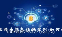 深入解析比特币钱包诈骗