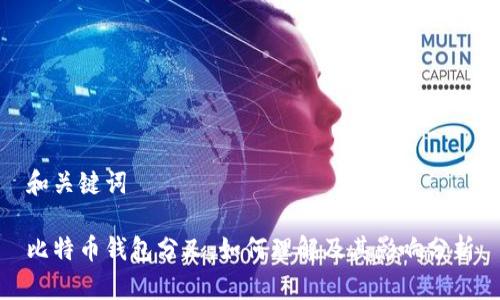和关键词

比特币钱包分叉：如何理解及其影响分析