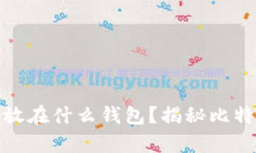 最早的比特币存放在什么钱包?揭秘比特币的起源与发展
