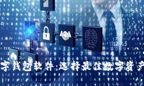 区块链数字钱包软件:选择最佳数字资产管理工具