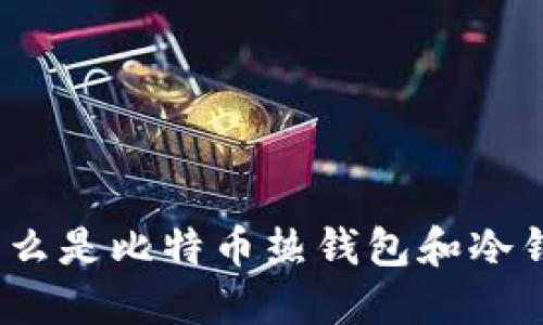 : 什么是比特币热钱包和冷钱包？