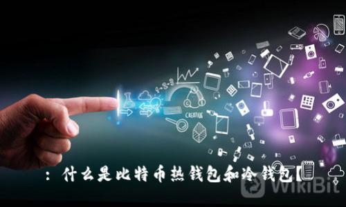 : 什么是比特币热钱包和冷钱包？