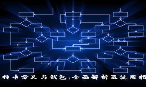 比特币分叉与钱包:全面解析及使用指南