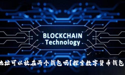 USDT地址可以放在两个钱包吗?探索数字货币钱包的运用
