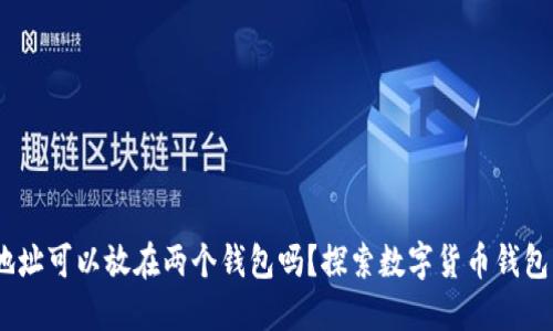USDT地址可以放在两个钱包吗?探索数字货币钱包的运用