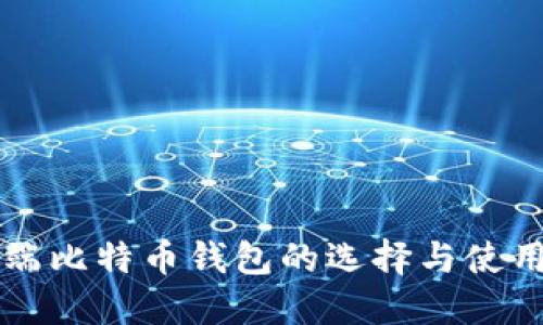 电脑端比特币钱包的选择与使用指南